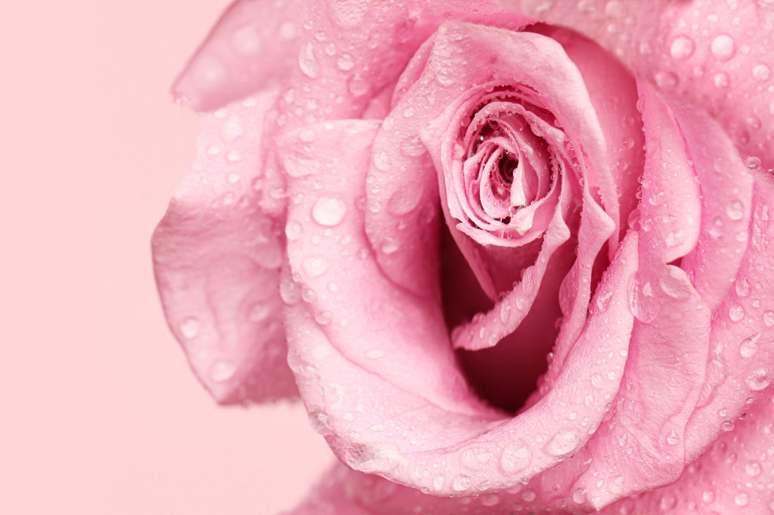 Say Goodbye to Dull Skin with Rose Water Toner