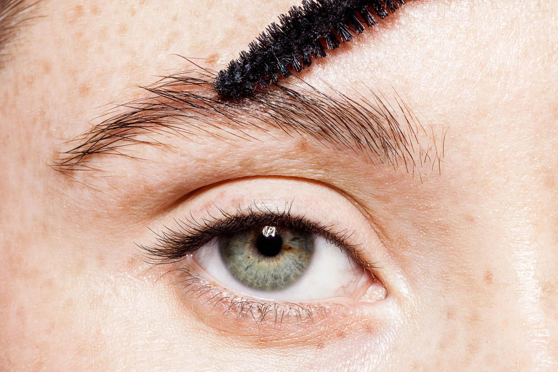 Brows and Lashes 101: How to Grow Your Brows & Lashes Faster?