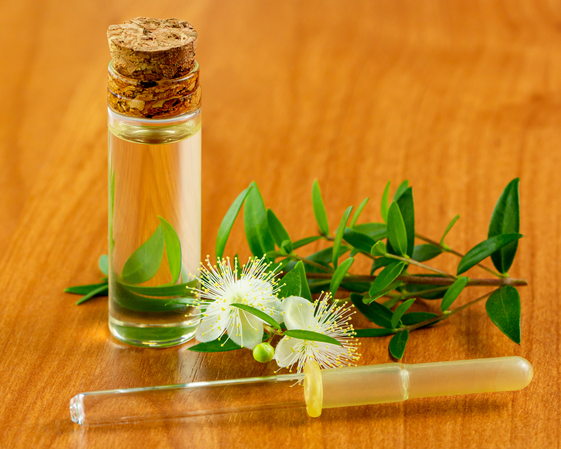 Discover How Myrtle Oil Transforms Lackluster Hair into Luscious Locks