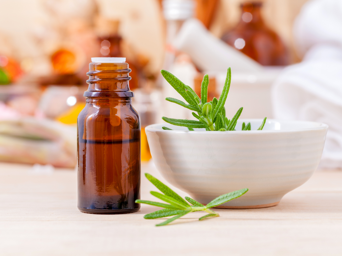 The Magic of Rosemary Oil: A Haircare Elixir from Mother Nature! 🌿